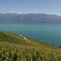 Lavaux - 002